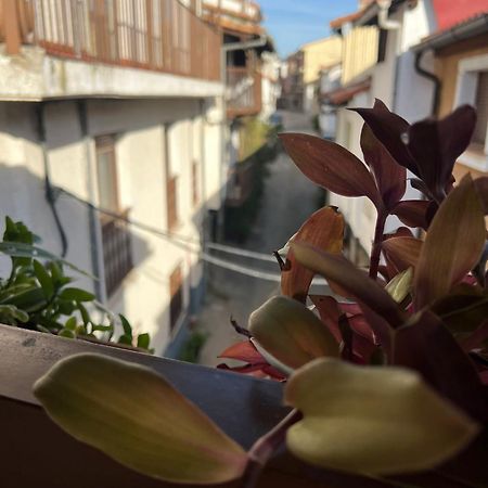 칸델레다 La Golondrina 아파트 외부 사진